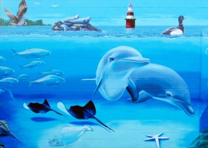 Dophins close up of mural