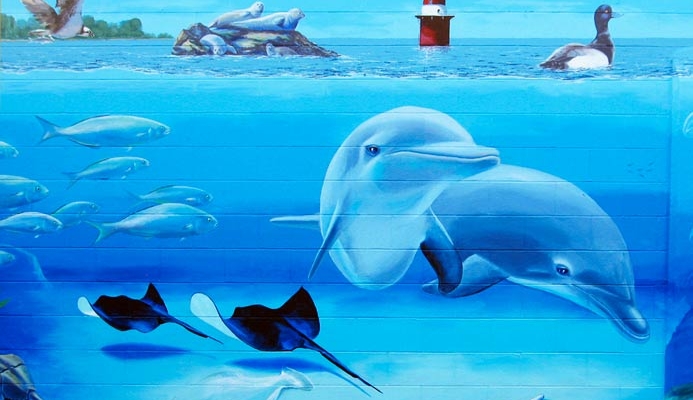 Dophins close up of mural