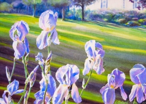 Irises